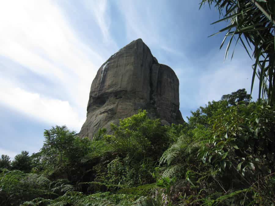 Rio de Janeiro: Pedra da Gavea Adventure Hike - Stop 2: The Summit Push and the Short Climbing Moment