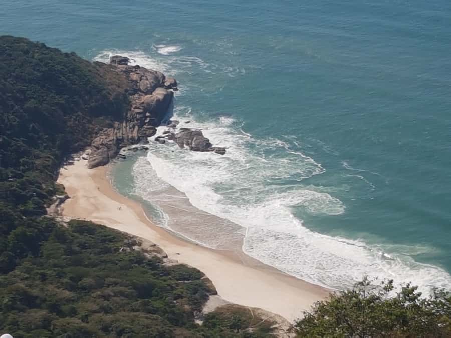 Rio de Janeiro: Pedra do Telegrafo Hike & Grumari Beach Tour - Grumari Beach: Your Reward Stop for Swimming and Recovery