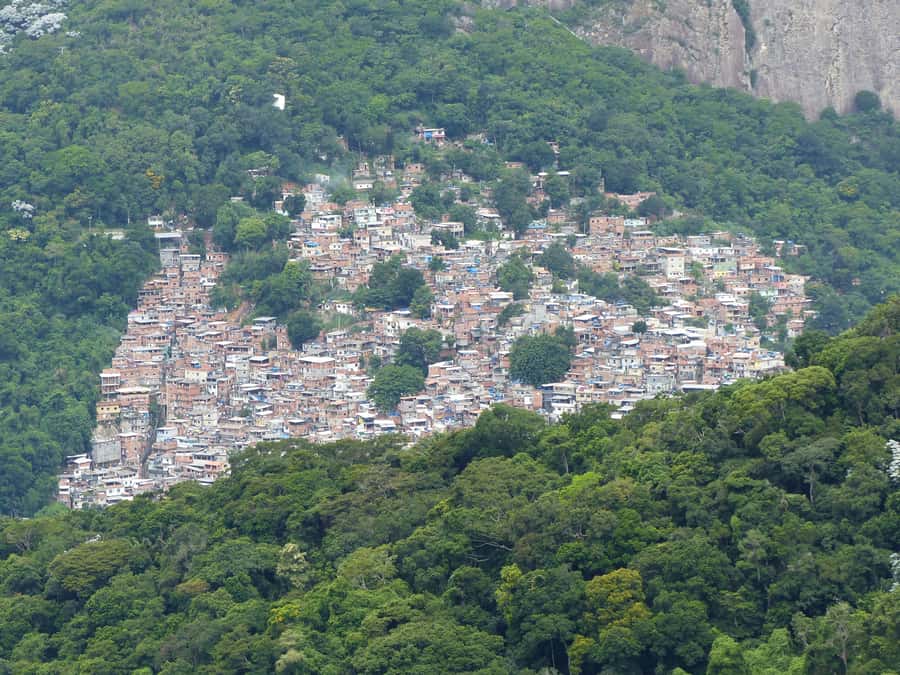 Rio de Janeiro: Private Day Tour with lunch - Key Things I’d Watch For Before You Go