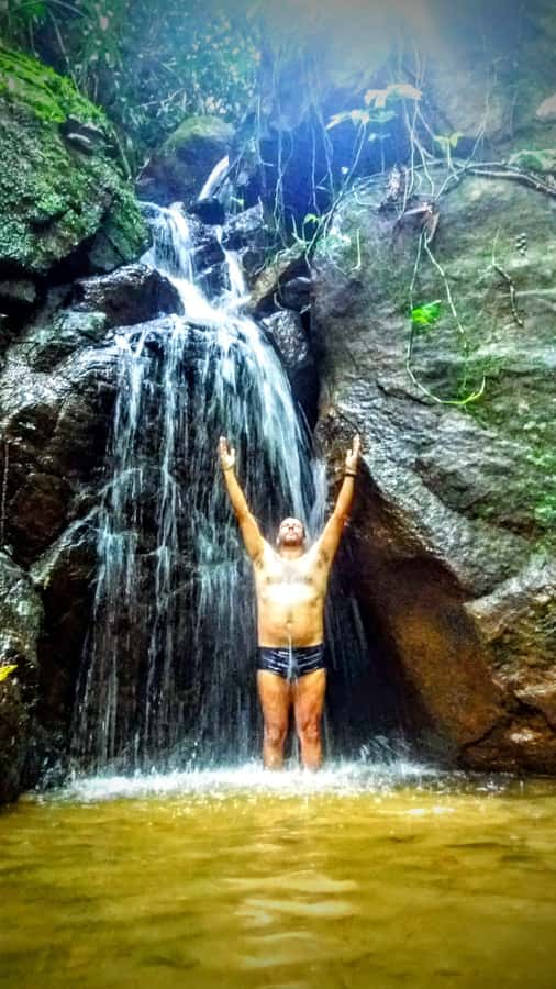 Rio de Janeiro: Tijuca Forest Challenge Hike Full-Day Trip - A Full-Day Tijuca Challenge With South Zone Pickup