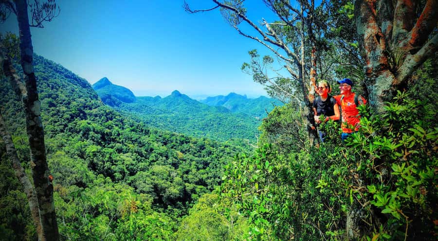 Rio de Janeiro: Tijuca Forest Challenge Hike Full-Day Trip - Taquara Hill: The Climb That Rewards You