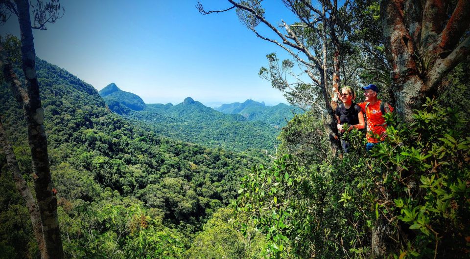 Rio de Janeiro: Tijuca Forest Challenge Hike Full-Day Trip - Coffee Farm Ruins, a Rare Trail Section, and the Cave Stops