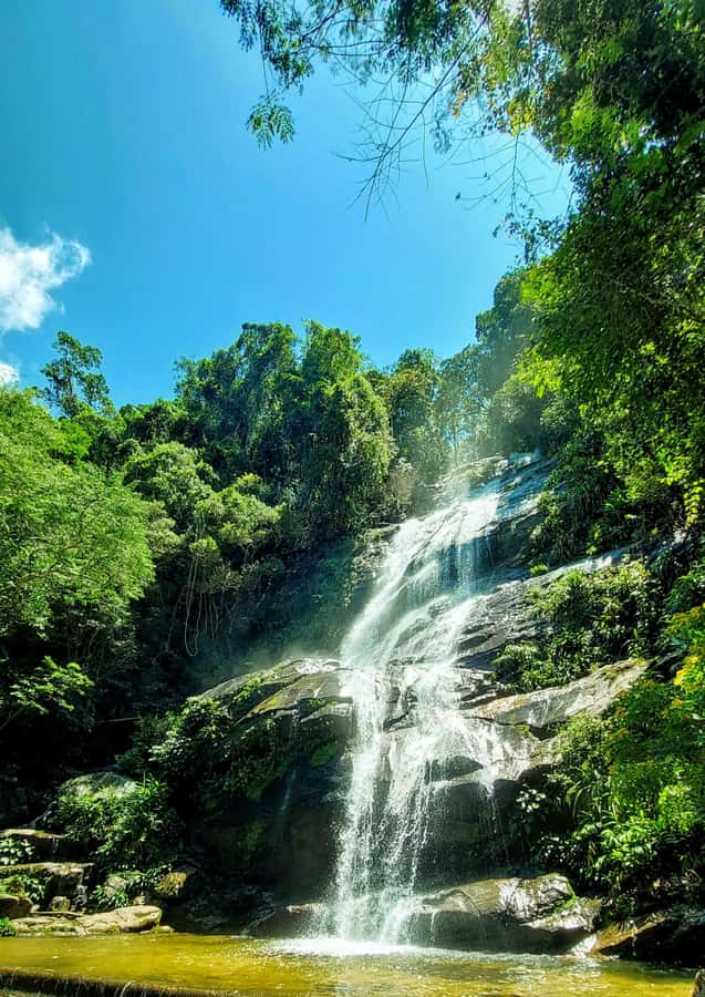 Rio de Janeiro: Tijuca Forest Challenge Hike Full-Day Trip - Cascata da Baronesa and the Waterfall Shower Moment