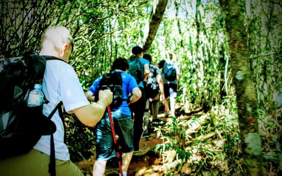 Rio de Janeiro: Tijuca Forest Challenge Hike Full-Day Trip - Price and Value: Why $86 Can Make Sense