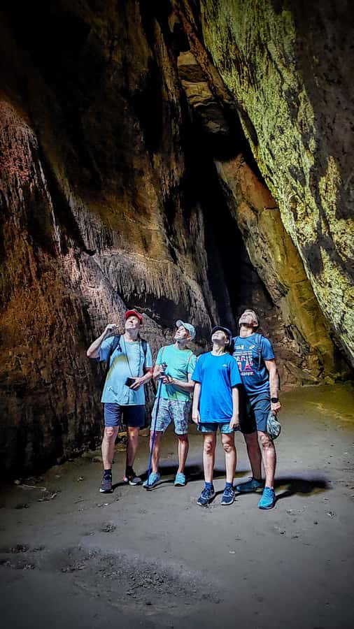 Rio de Janeiro: Tijuca Forest Challenge Hike Full-Day Trip - The Fitness Reality Check: 10.4km and 848m Up