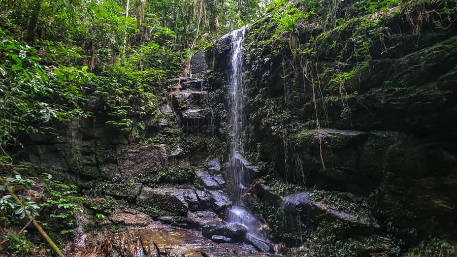 Rio de Janeiro: Tijuca Forest Waterfall of Souls Hike - Tijuca’s Waterfall of Souls hike: what makes it worth your time