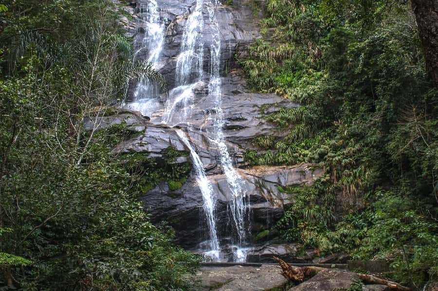 Rio de Janeiro: Tijuca Forest Waterfall of Souls Hike - The warm-up: breathing, stretching, and a different kind of “before the hike”