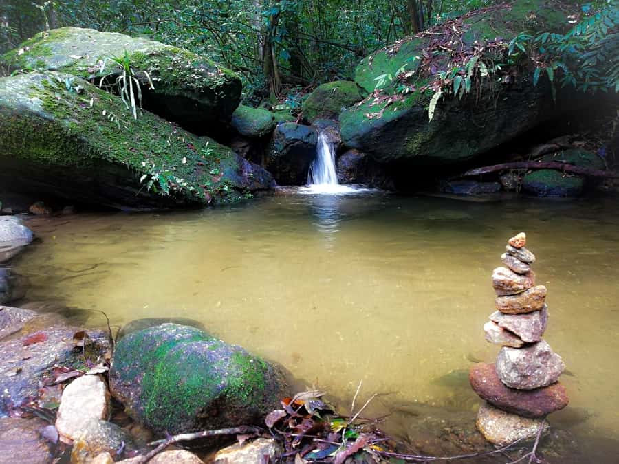 Rio de Janeiro: Tijuca Forest Waterfall of Souls Hike - The cleanse and refresh moment at the first stream