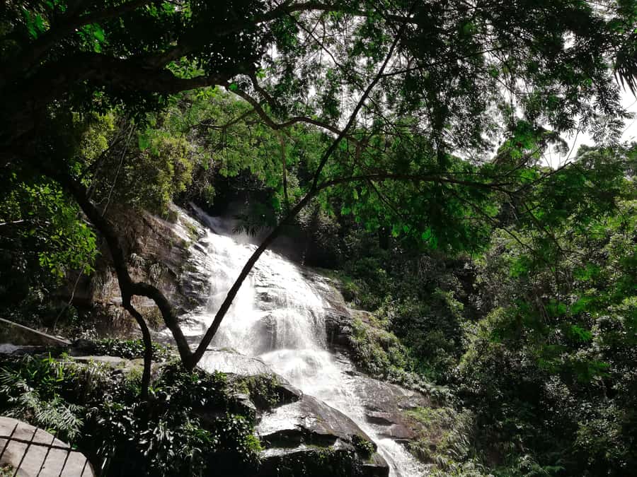 Rio de Janeiro: Tijuca Forest Waterfall of Souls Hike - Cachoeira das Almas: snacks, pictures, and bathing
