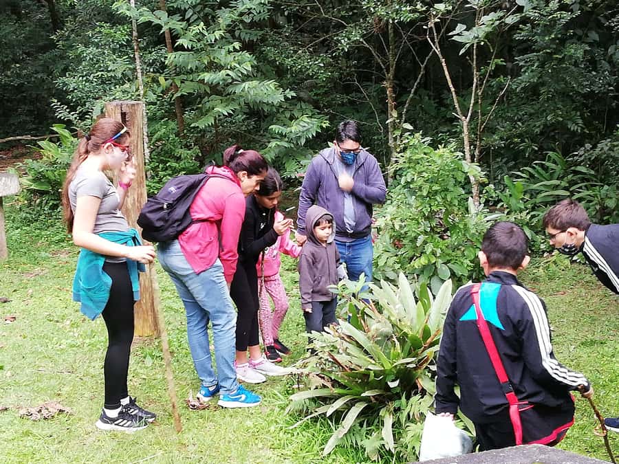 Rio de Janeiro: Tijuca Forest Waterfall of Souls Hike - Where you meet and how you start the hike (Estr. da Cascatinha, 300)