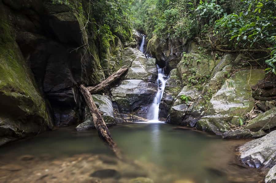 Rio de Janeiro: Tijuca National Park & Botanic Garden Tour - Mayrink Chapel and Taunay Waterfall: Small Stops with Big Payoff