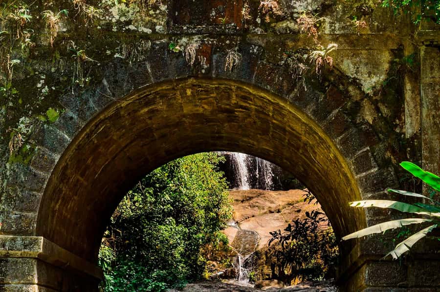 Rio de Janeiro: Tijuca National Park & Botanic Garden Tour - Price and What You’re Getting for $65