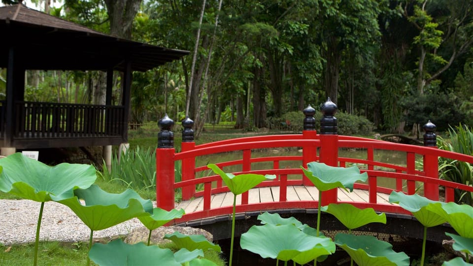 Rio de Janeiro: Tijuca National Park & Botanic Garden Tour - Timing, Rain, and Traffic: Making the Most of 4 Hours