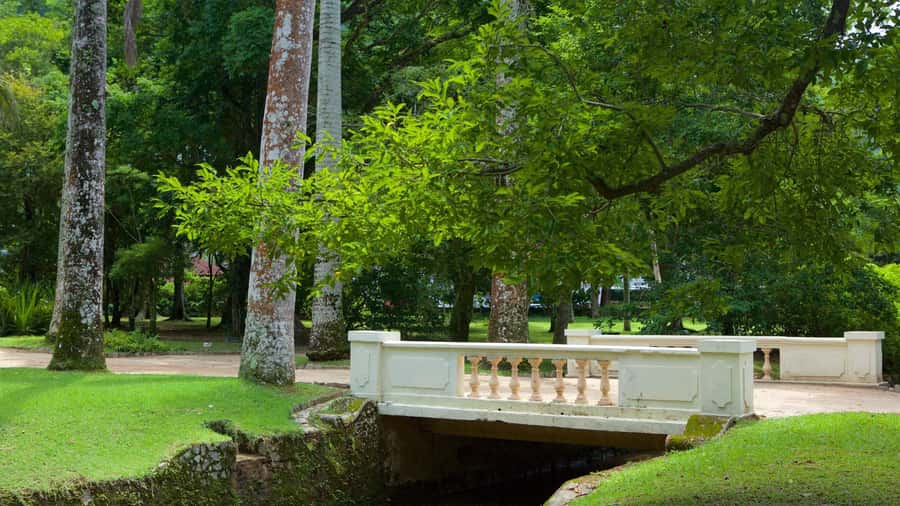 Rio de Janeiro: Tijuca National Park & Botanic Garden Tour - Who This Tour Suits Best