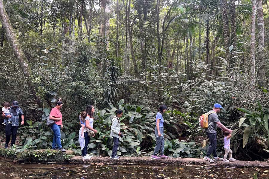 Rio de Janeiro: Tijuca National Park Tour - Cascatinha Taunay and the visitor core: where the day gets explained