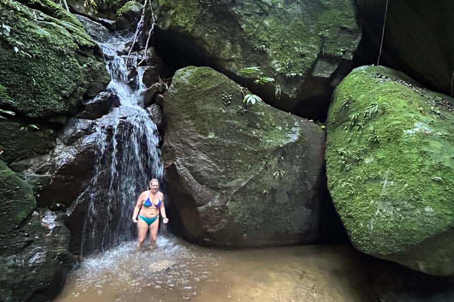 Rio de Janeiro: Tijuca National Park Tour - What you might spot: birds, coatis, butterflies, and the small stuff