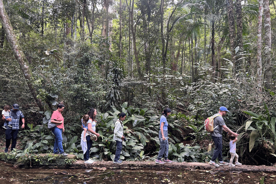 Rio de Janeiro: Tijuca National Park Tour - Pace and hike reality: easy enough for many, still active