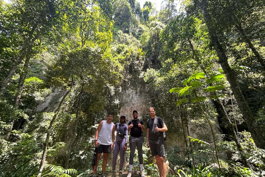Rio de Janeiro: Tijuca National Park Tour - Timing and how the day fits into Rio