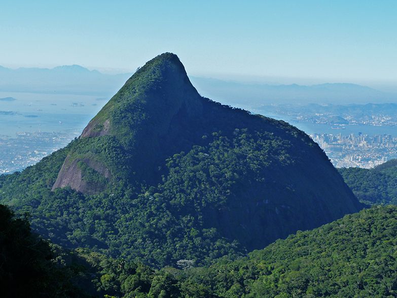 Rio de Janeiro: Tijuca Peak Guided Hike - Key Things to Know Before You Go