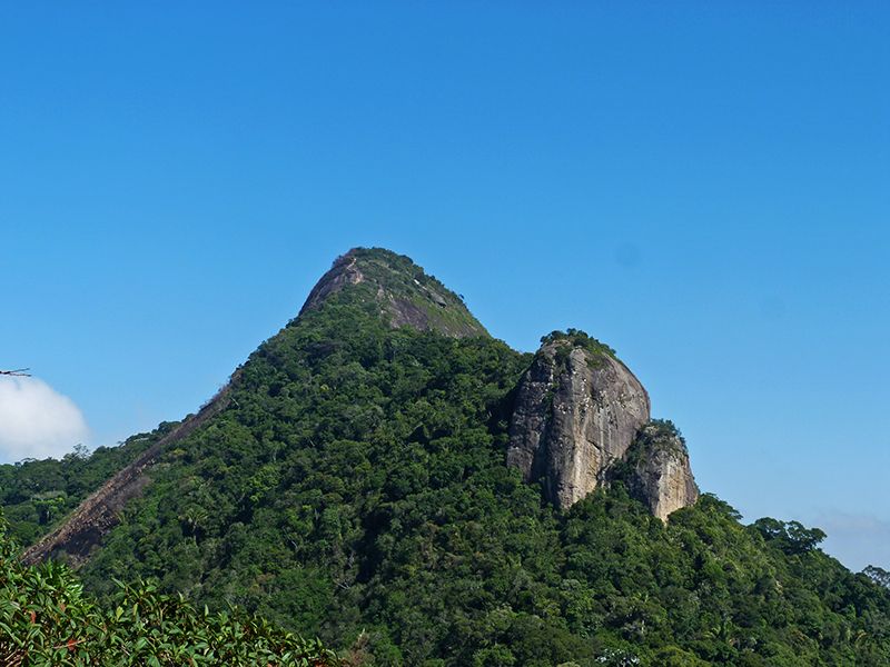Rio de Janeiro: Tijuca Peak Guided Hike - Price and Value: Why $56 Makes Sense Here