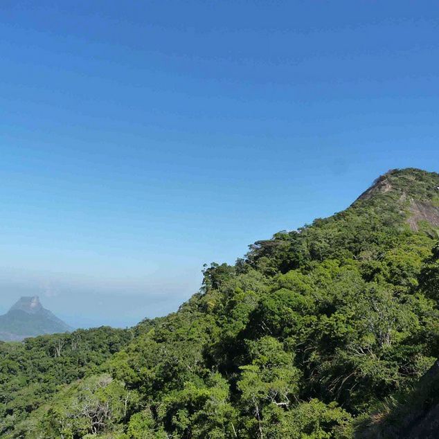 Rio de Janeiro: Tijuca Peak Guided Hike - What to Bring (and What to Skip) for a Smooth Hike