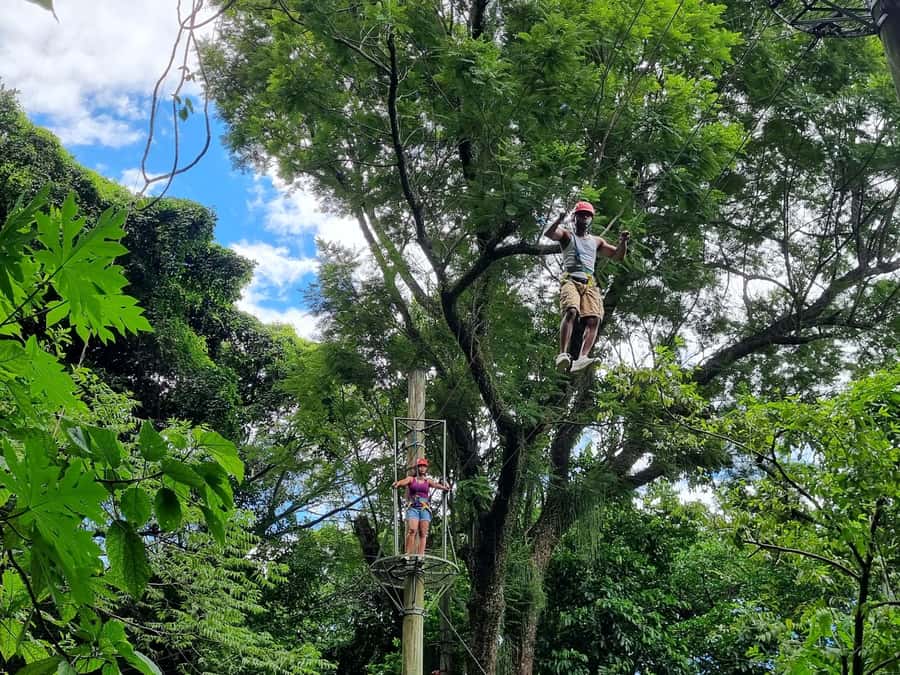Rio de Janeiro: Zip Lining and Canopy Tree Tour - Key Points You’ll Actually Care About