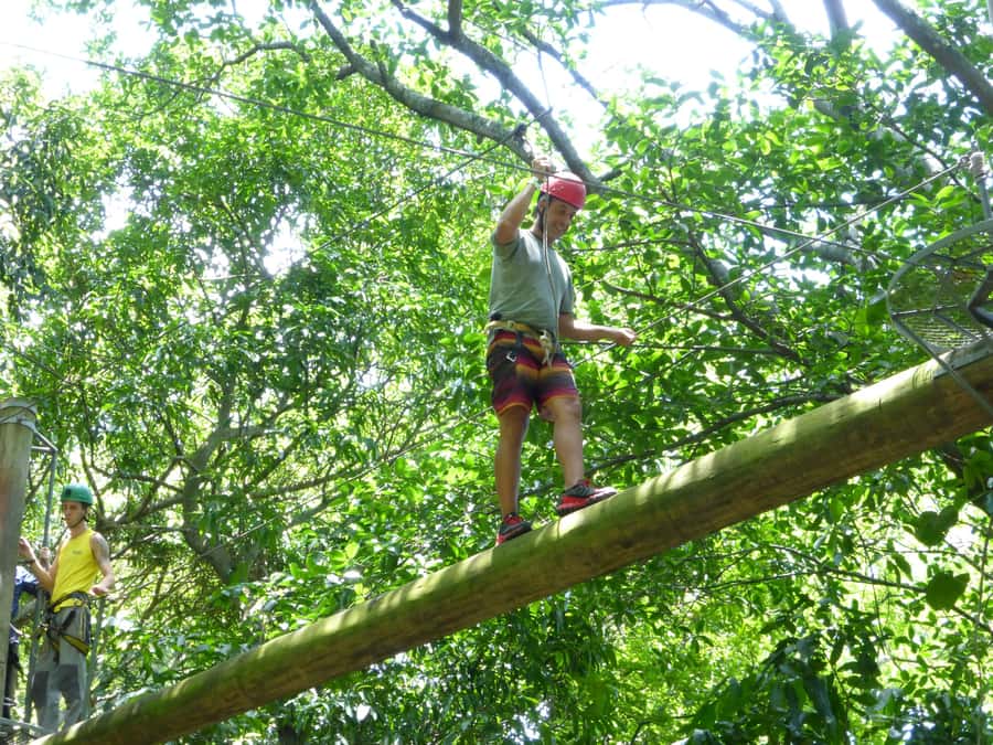 Rio de Janeiro: Zip Lining and Canopy Tree Tour - Where This Tour Fits in Rio