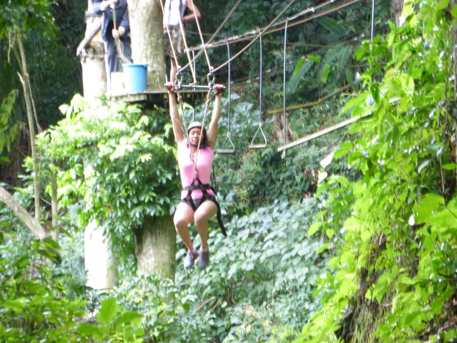 Rio de Janeiro: Zip Lining and Canopy Tree Tour - Languages and Guide Support: What You Can Expect