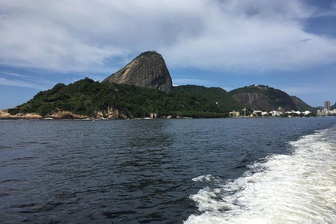 Rio From the Sea: Guanabara Bay Cruise with Optional Barbecue Lunch - What the boat experience feels like: comfort, commentary, and photo time