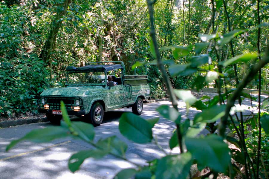 Rio: Half-Day Jeep Tour at Floresta da Tijuca - From the Lagoa to Christ’s silhouette: the viewpoint setup that matters