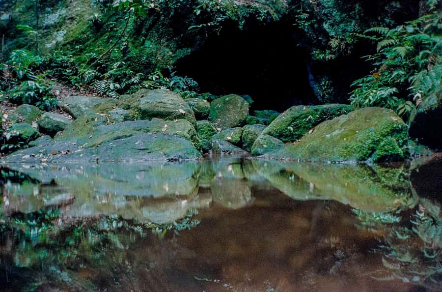Rio: Half-Day Jeep Tour at Floresta da Tijuca - Capela Mayrink and the two trails: easy walking that still feels real