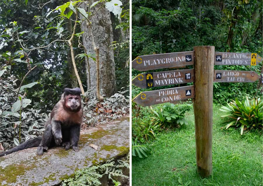 Rio: Half-Day Jeep Tour at Floresta da Tijuca - Price, value, and the kind of day you’re buying