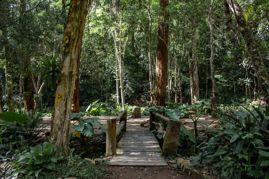 Rio: Half-Day Jeep Tour at Floresta da Tijuca - Should you book the Rio Half-Day Jeep Tour at Floresta da Tijuca?