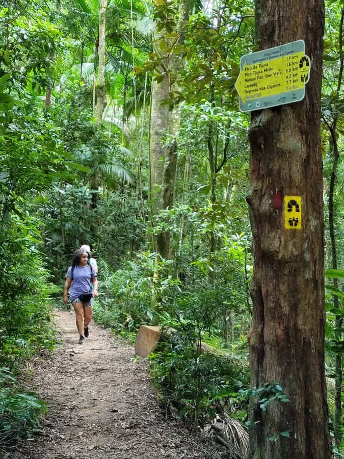 Rio: Private Tour 5 Hours Customized Tour With a Local Guide - What to Bring (So Your Day Feels Good, Not Miserable)