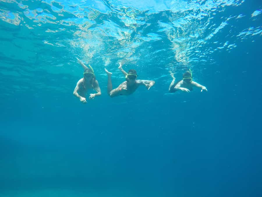 Rio: Snorkel & Swim with Turtles Tour at Tijuca Islands - Tijuca Islands snorkeling: where the turtles and stingrays come in