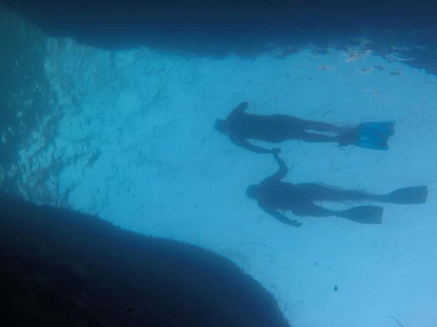 Rio: Snorkel & Swim with Turtles Tour at Tijuca Islands - The speedboat ride: fast access to clearer water and landmark views