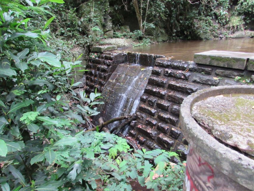 Rio: Tijuca Forest & Horto Waterfalls Circuit Tour - Why This Tijuca Waterfalls Circuit Feels Like a Reset