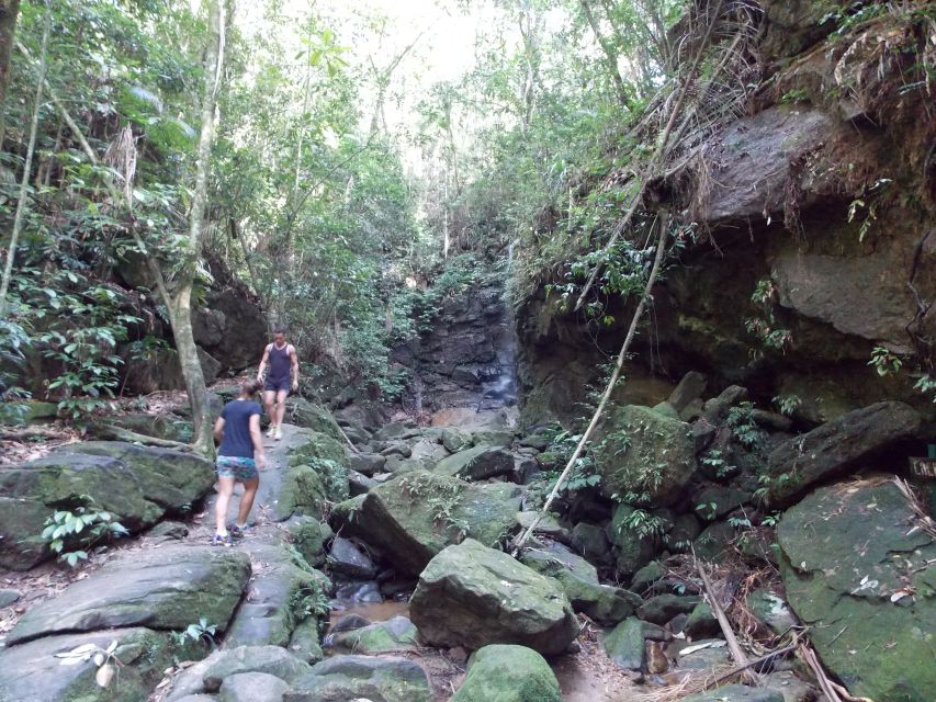 Rio: Tijuca Forest & Horto Waterfalls Circuit Tour - Trail Feel: Moderate Difficulty, Wet Rock, and Root-Climbing Reality