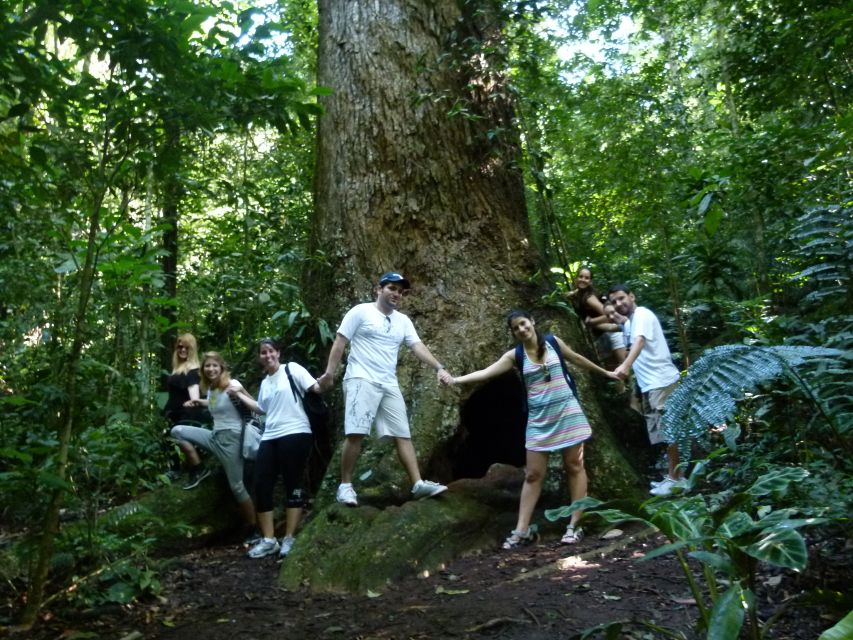 Rio: Tijuca Forest & Horto Waterfalls Circuit Tour - Wildlife, Plants, and Forest Stories From the Guides