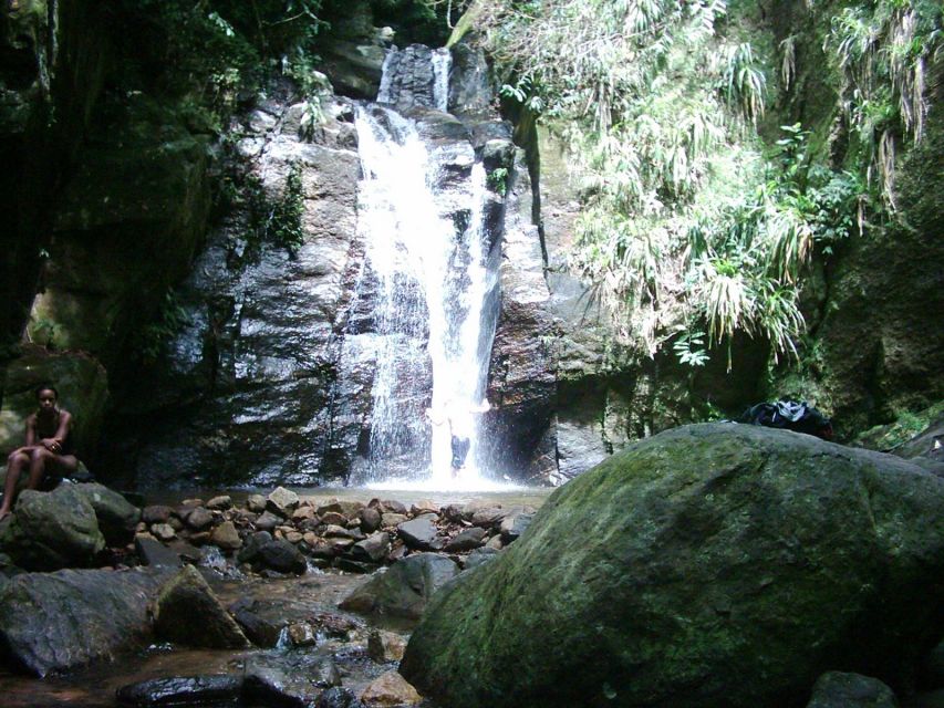 Rio: Tijuca Forest & Horto Waterfalls Circuit Tour - Price and Value: What $56 Buys You in Rio