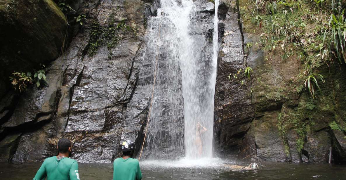 Rio: Tijuca Forest & Horto Waterfalls Circuit Tour - Entering Tijuca: What This Circuit Tour Actually Does