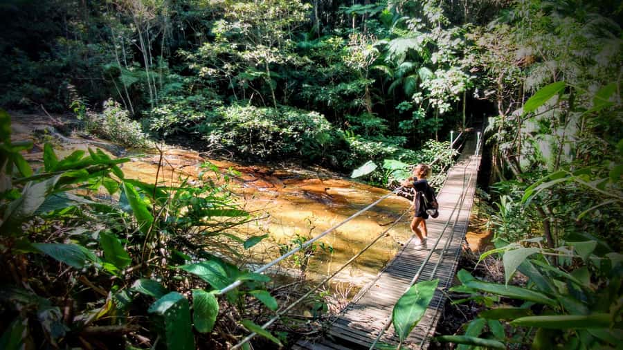 Rio: Tijuca Forest Small Group Hike to Caves and Waterfalls - Why Tijuca Forest in Rio Feels Special