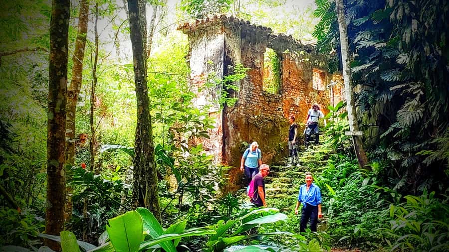 Rio: Tijuca Forest Small Group Hike to Caves and Waterfalls - Hotel Pickup in Rio’s South Zone: The Day Starts Easy