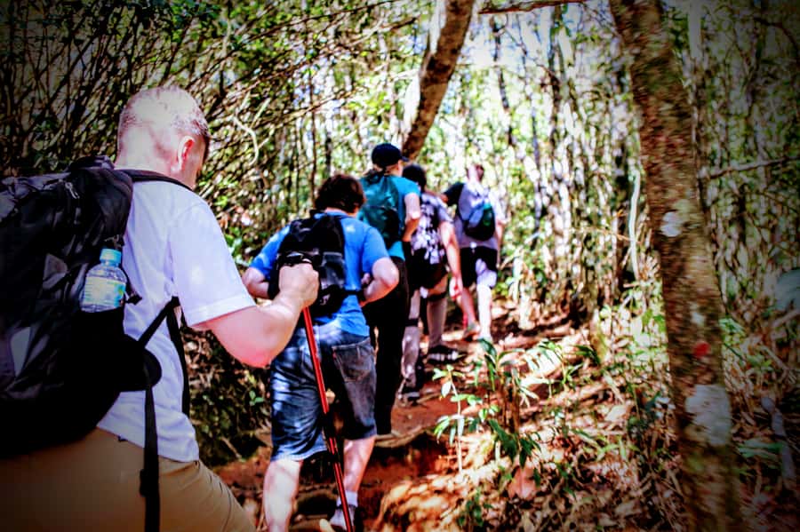 Rio: Tijuca Forest Small Group Hike to Caves and Waterfalls - Morcego’s Grotto (Bat Cave): When the Cave Stop Becomes a Lesson in Expectations