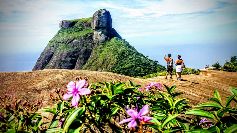 Rio: Tijuca National Park Small-Group Hike to Pedra Bonita - Price and value: what you’re really paying for