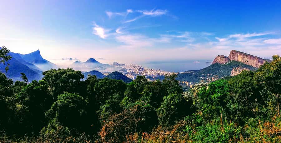 Rio: Tijuca National Park Small-Group Hike to Pedra Bonita - What to bring and how to prep (so the hike stays easy)