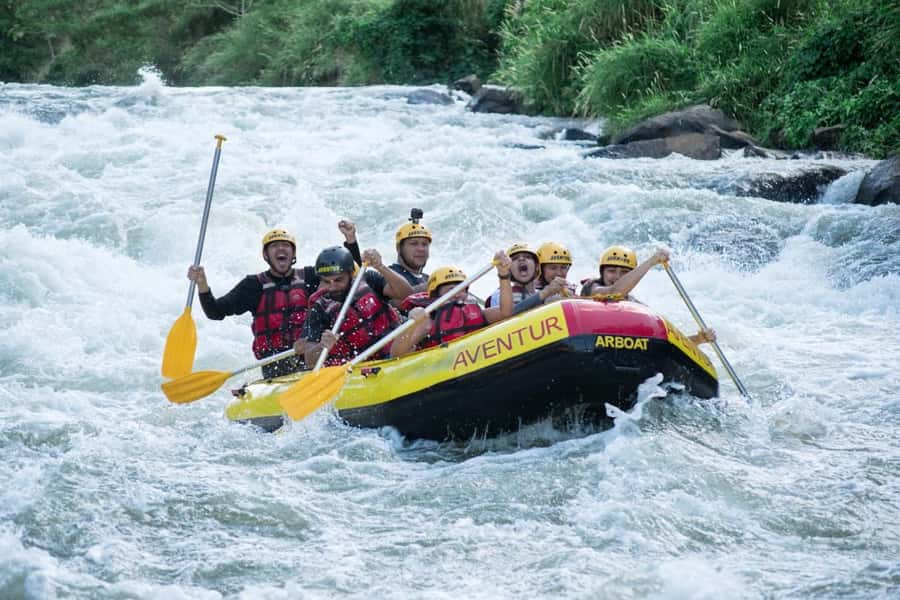 Rio: White Water Rafting Adventure tour in Rio de Janeiro - Atlantic rainforest views with wildlife spotting built into the day