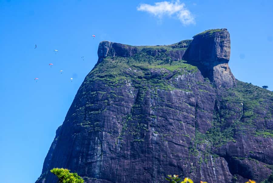 Rocinha Jeep Tour: A Journey into the Soul of the Favela! - Who should book this Rocinha Jeep Tour?