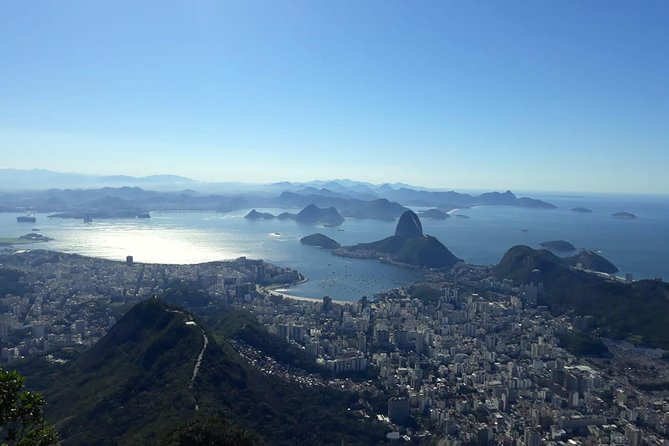 The Best of Rio de Janeiro in a Private Guided Tour - The big picture: how your guide builds your day