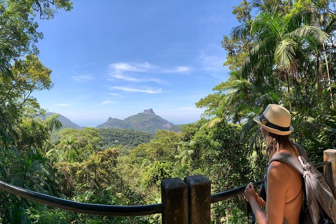 Tijuca Forest Hike - Waterfalls & Caves, Nature & Wild Life! - Key Highlights You Can Count On